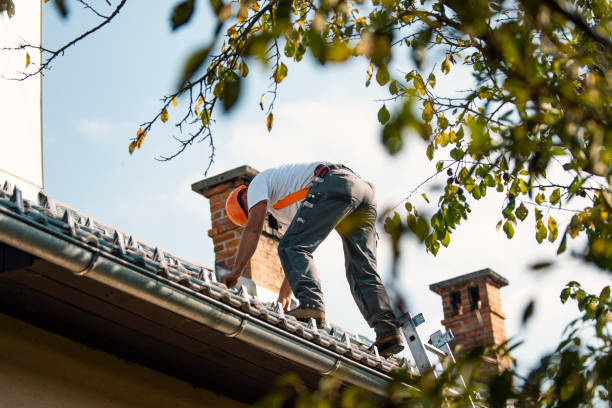 Sheet Metal Roofing in Park Rapids, MN