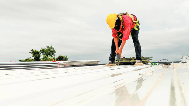 Best Slate Roofing  in Park Rapids, MN