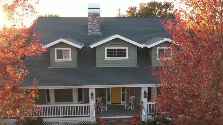 Best Sheet Metal Roofing  in Park Rapids, MN