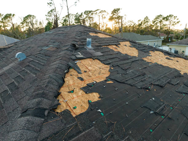 Best Emergency Roof Repair Services  in Park Rapids, MN